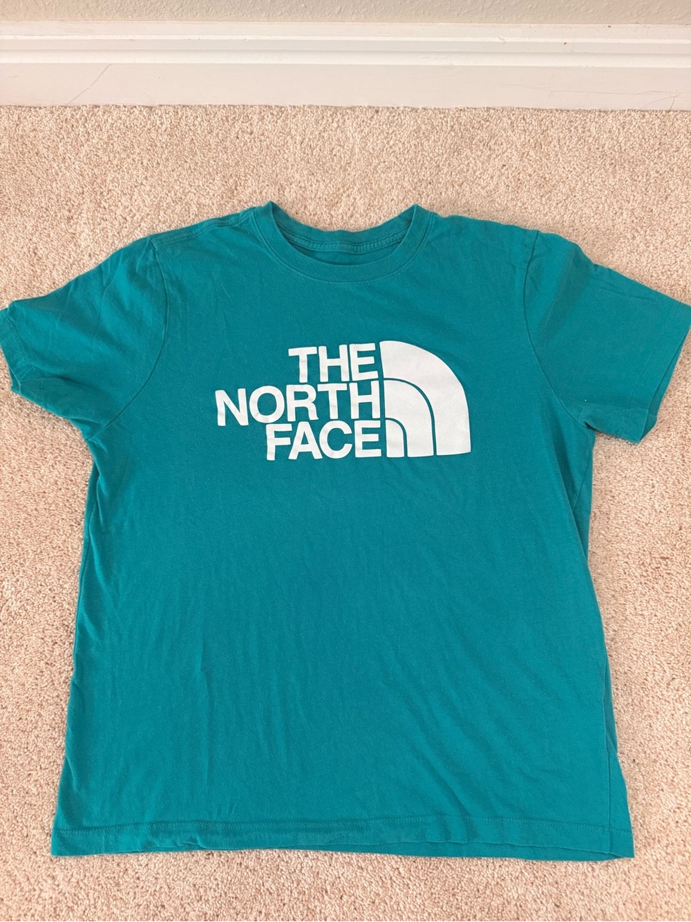 The North Face Bright Teal Women's Logo Tee